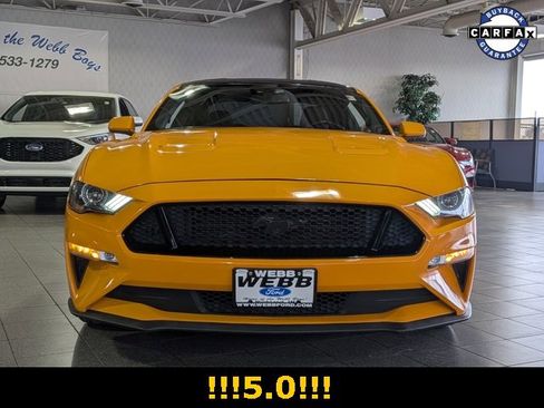 Used 2019 Ford Mustang GT w/ Equipment Group 301A image 3