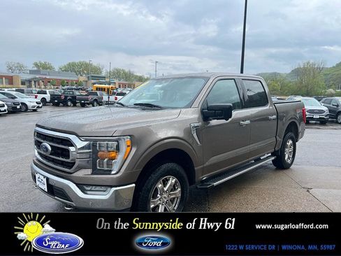 Used 2021 Ford F150 XLT w/ Equipment Group 302A High AWD/4WD image 1