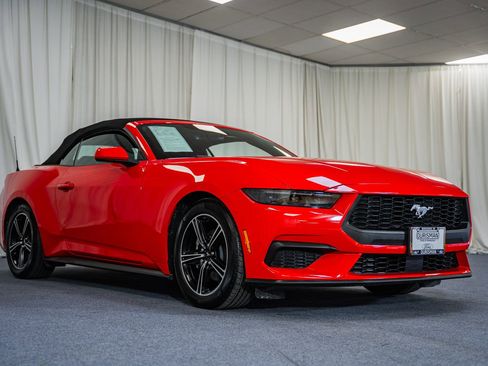 Certified 2025 Ford Mustang Premium image 1