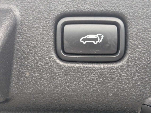 Used 2025 Kia Seltos EX w/ EX Sunroof Package AWD/4WD image 12