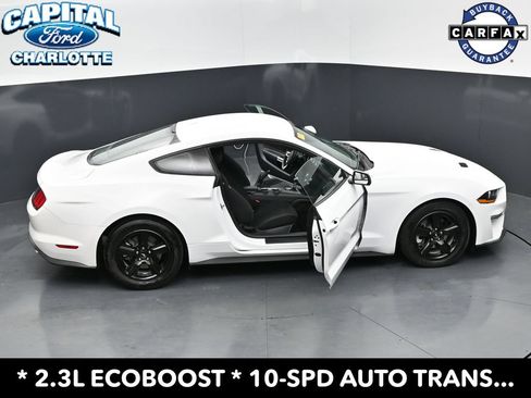 Used 2019 Ford Mustang Coupe RWD image 29