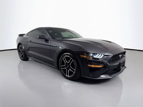 Used 2022 Ford Mustang Coupe w/ Equipment Group 101A RWD image 3
