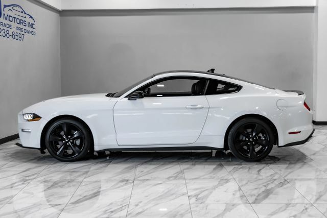 Used 2023 Ford Mustang Premium w/ Mustang Nite Pony Package RWD image 13