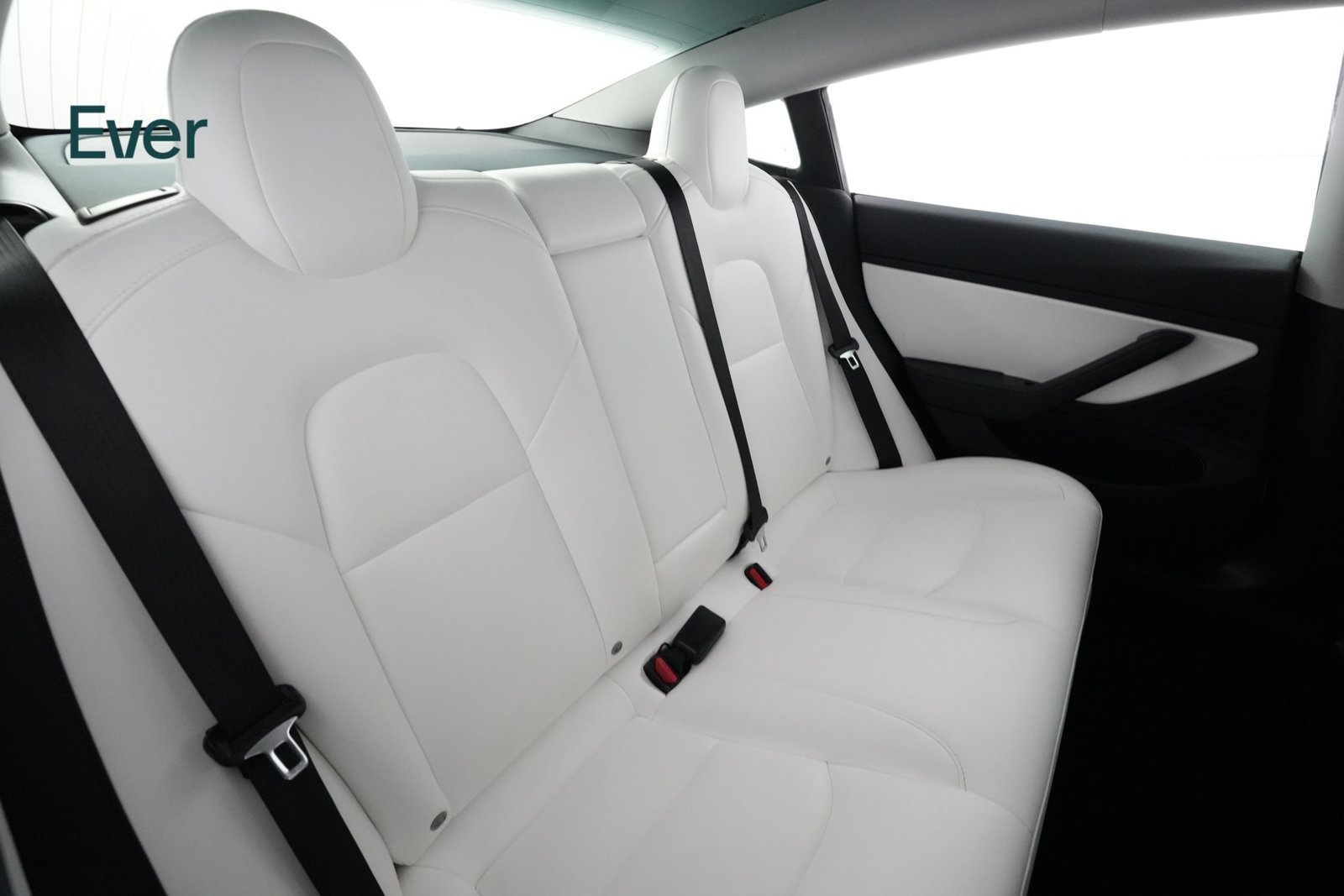 Used 2019 Tesla Model 3 Standard Range Plus RWD image 5