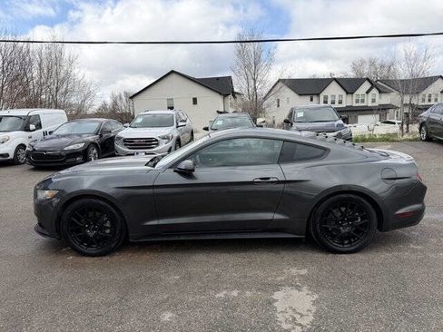 Used 2016 Ford Mustang Coupe w/ Equipment Group 051A image 8