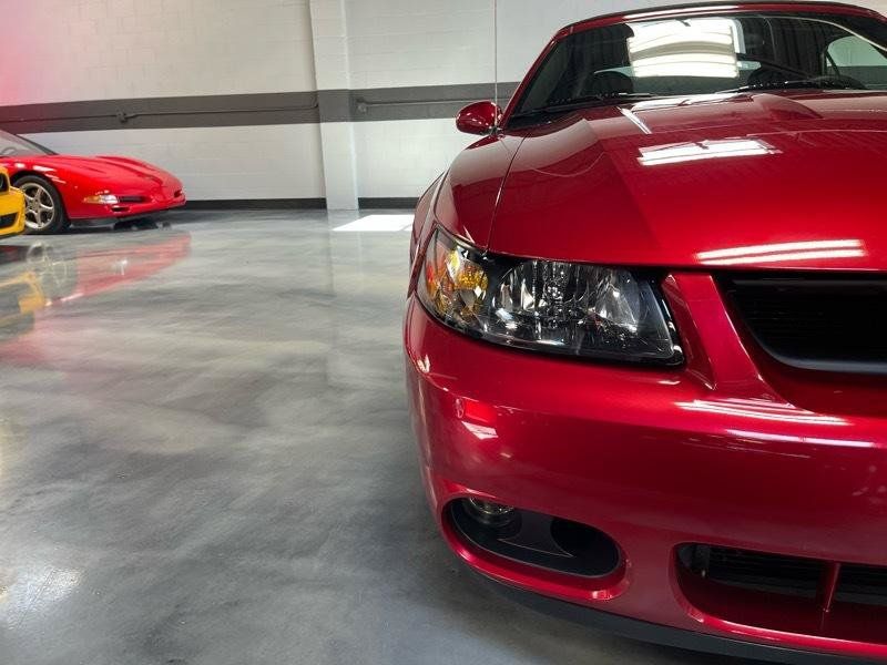 Used 2003 Ford Mustang Cobra RWD image 6