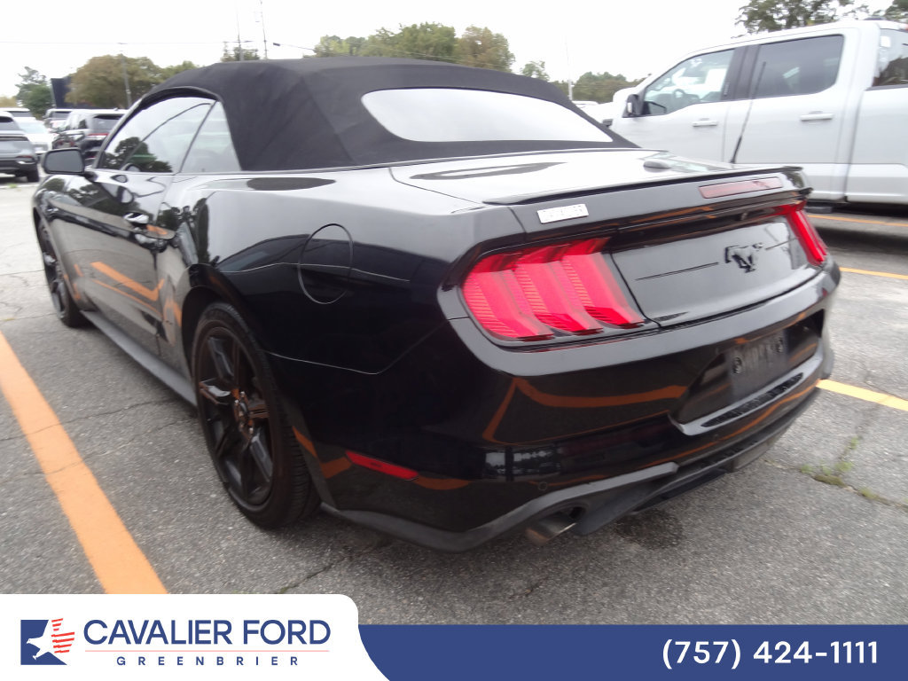 Used 2019 Ford Mustang Premium w/ Equipment Group 201A RWD image 4