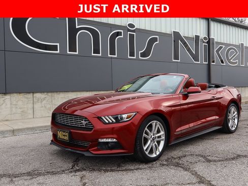 Used 2017 Ford Mustang Premium w/ Pony Package image 1