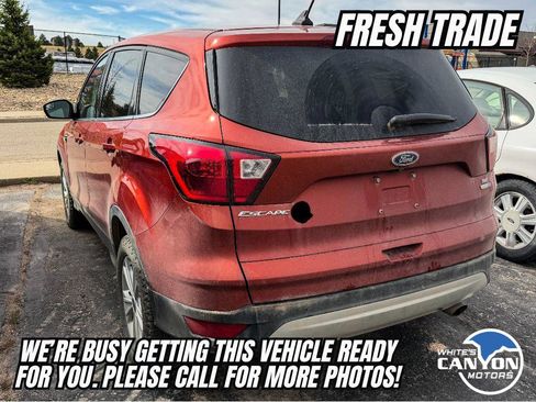 Used 2019 Ford Escape SE image 3