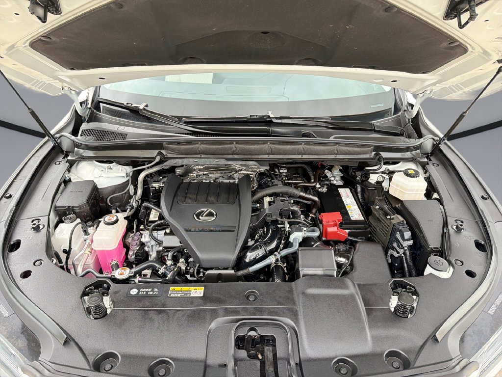 Certified 2023 Lexus RX 350 Premium Plus w/ Accessory Package (Z1) FWD image 14