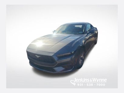 New 2026 Ford Mustang Coupe