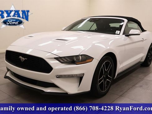 Used 2023 Ford Mustang Premium image 1