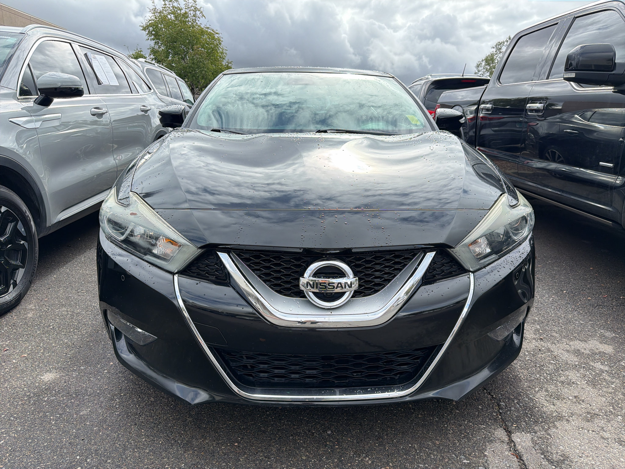 Used 2016 Nissan Maxima Platinum FWD image 3