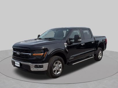 Used 2025 Ford F150 XLT w/ Equipment Group 302A MID