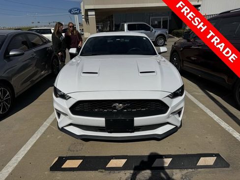 Used 2019 Ford Mustang Coupe w/ Ecoboost Performance Package image 1