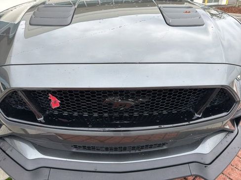 Used 2019 Ford Mustang GT Premium w/ Equipment Group 401A image 11