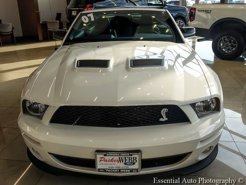 Used 2007 Ford Mustang Shelby GT500 RWD image 5