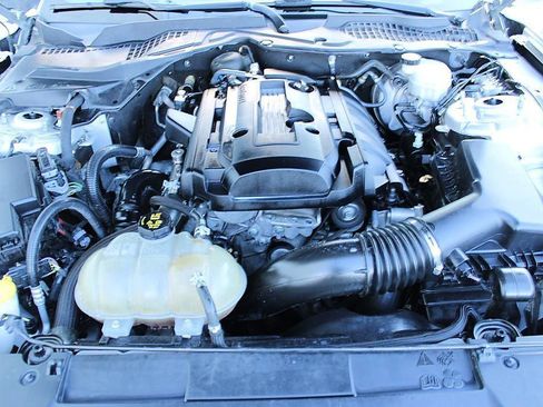 Used 2019 Ford Mustang Coupe w/ Wheel & Stripe Package RWD image 19