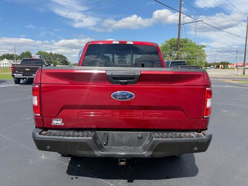 Used 2019 Ford F150 XLT w/ Equipment Group 302A Luxury AWD/4WD image 5