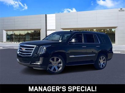 Used 2019 Cadillac Escalade Premium Luxury
