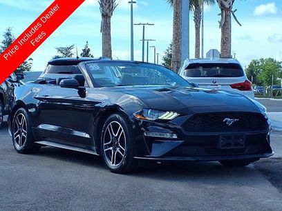 Used 2019 Ford Mustang Premium
