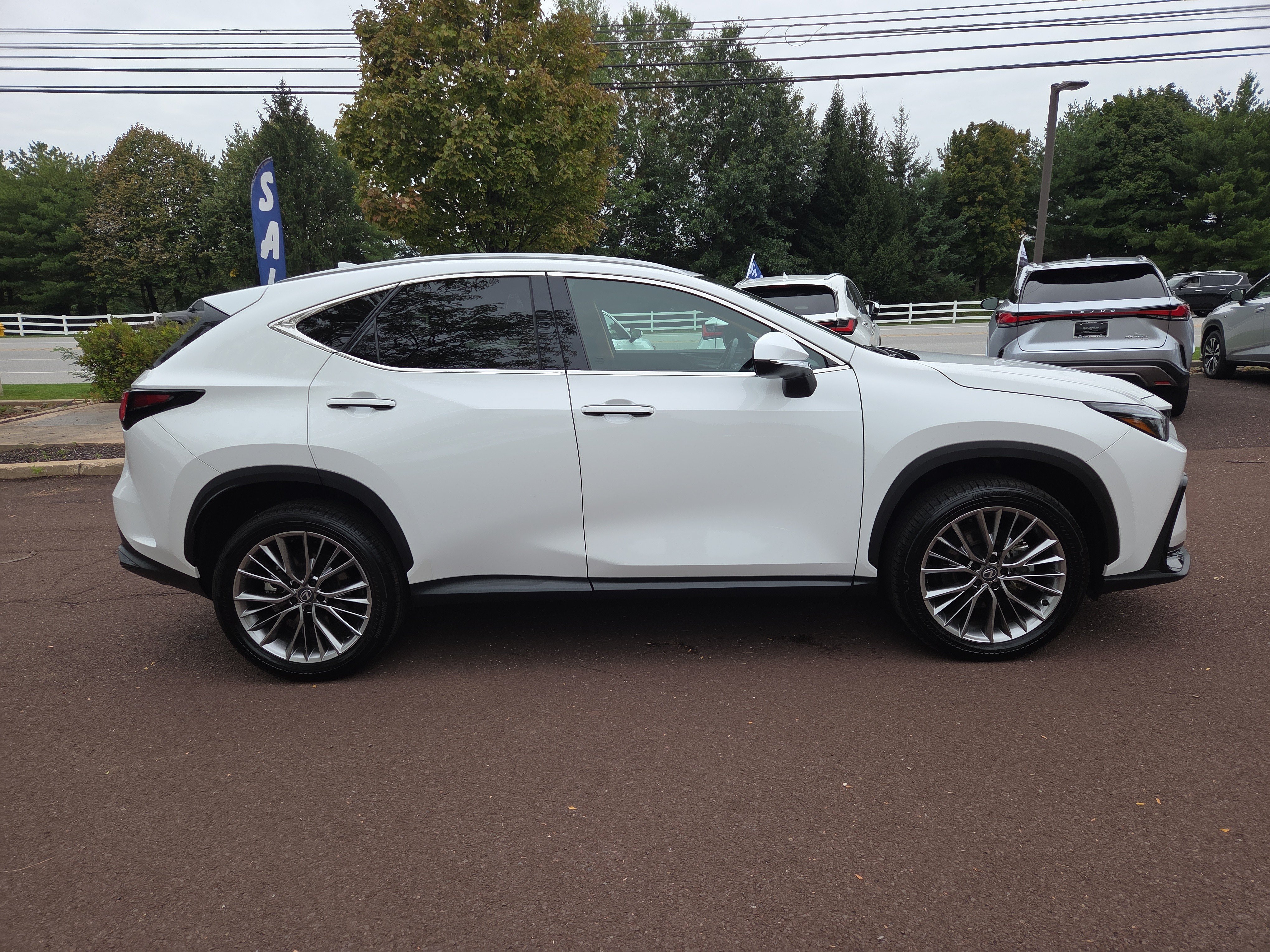 Certified 2026 Lexus NX 350h AWD w/ Cold Area Package image 2
