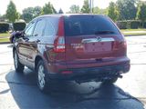 Used 2008 Honda CR-V EX-L image 5