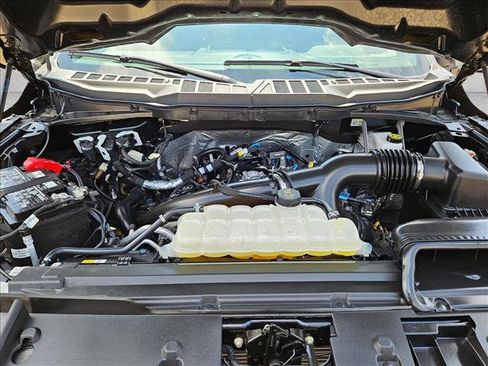 Used 2025 Ford F150 STX w/ Equipment Group 200A RWD image 22