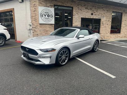 Used 2019 Ford Mustang Premium w/ Equipment Group 201A