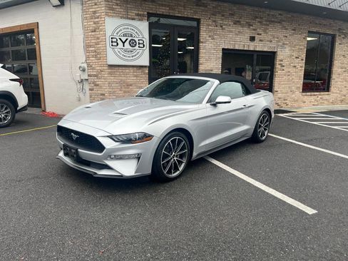 Used 2019 Ford Mustang Premium w/ Equipment Group 201A image 1