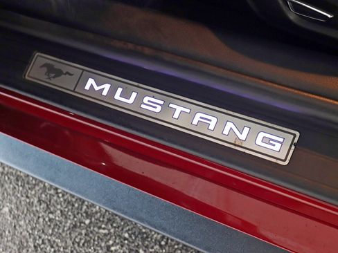 Used 2019 Ford Mustang Premium w/ Equipment Group 201A image 15