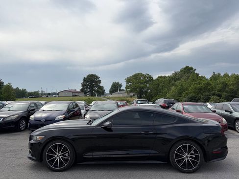 Used 2016 Ford Mustang Premium w/ Wheel & Stripe Package RWD image 3
