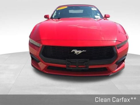 Used 2025 Ford Mustang Premium RWD image 3