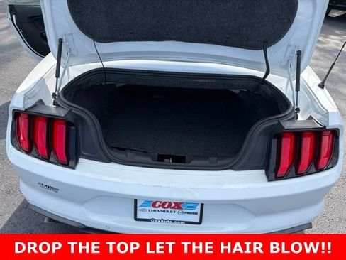 Used 2020 Ford Mustang Premium RWD image 14