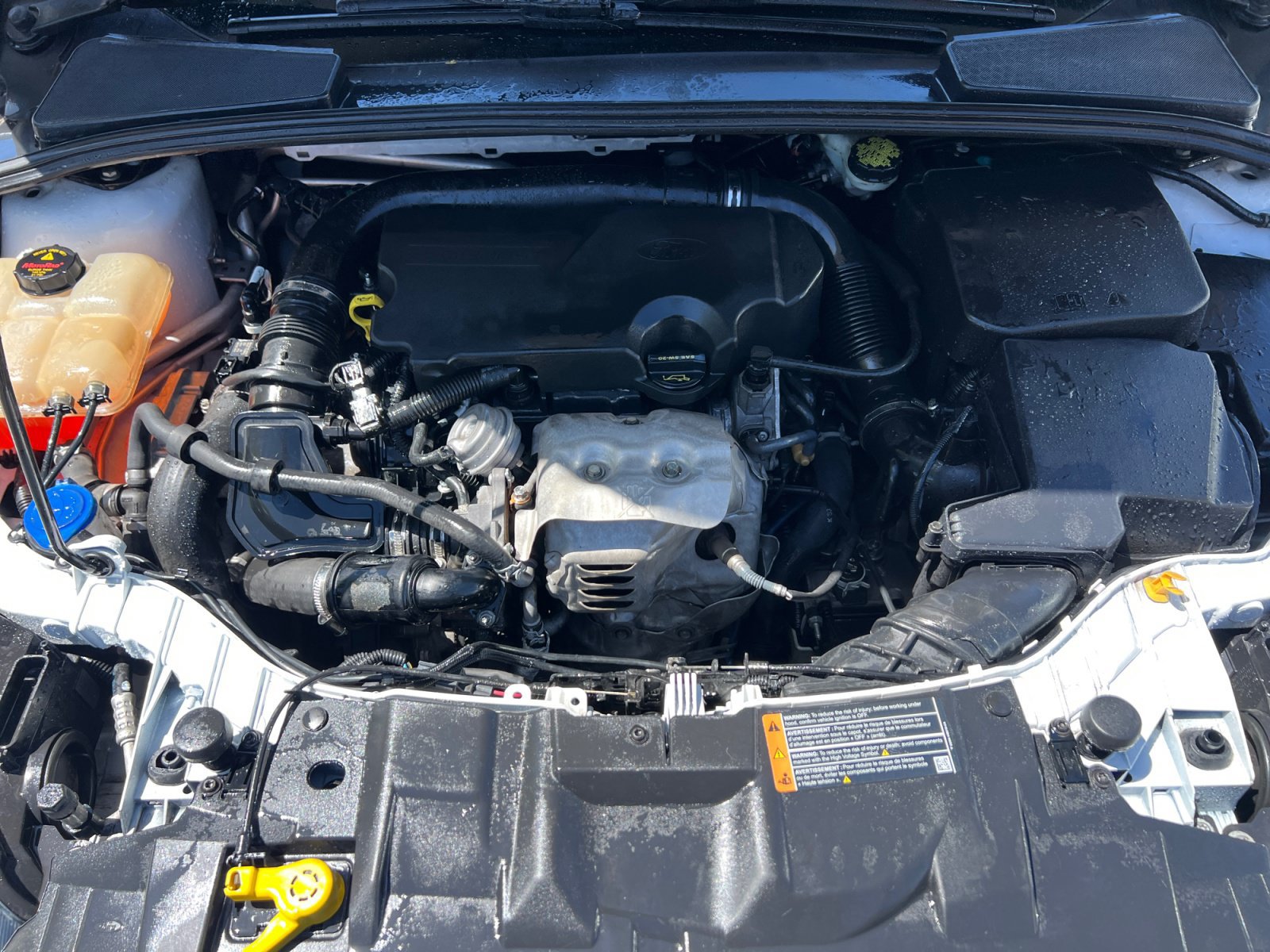 Used 2016 Ford Focus SE FWD image 32
