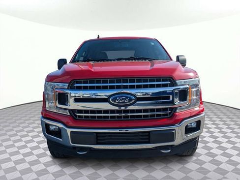 Used 2019 Ford F150 XLT w/ Equipment Group 302A Luxury image 8