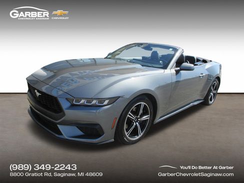 Used 2025 Ford Mustang Premium RWD image 1