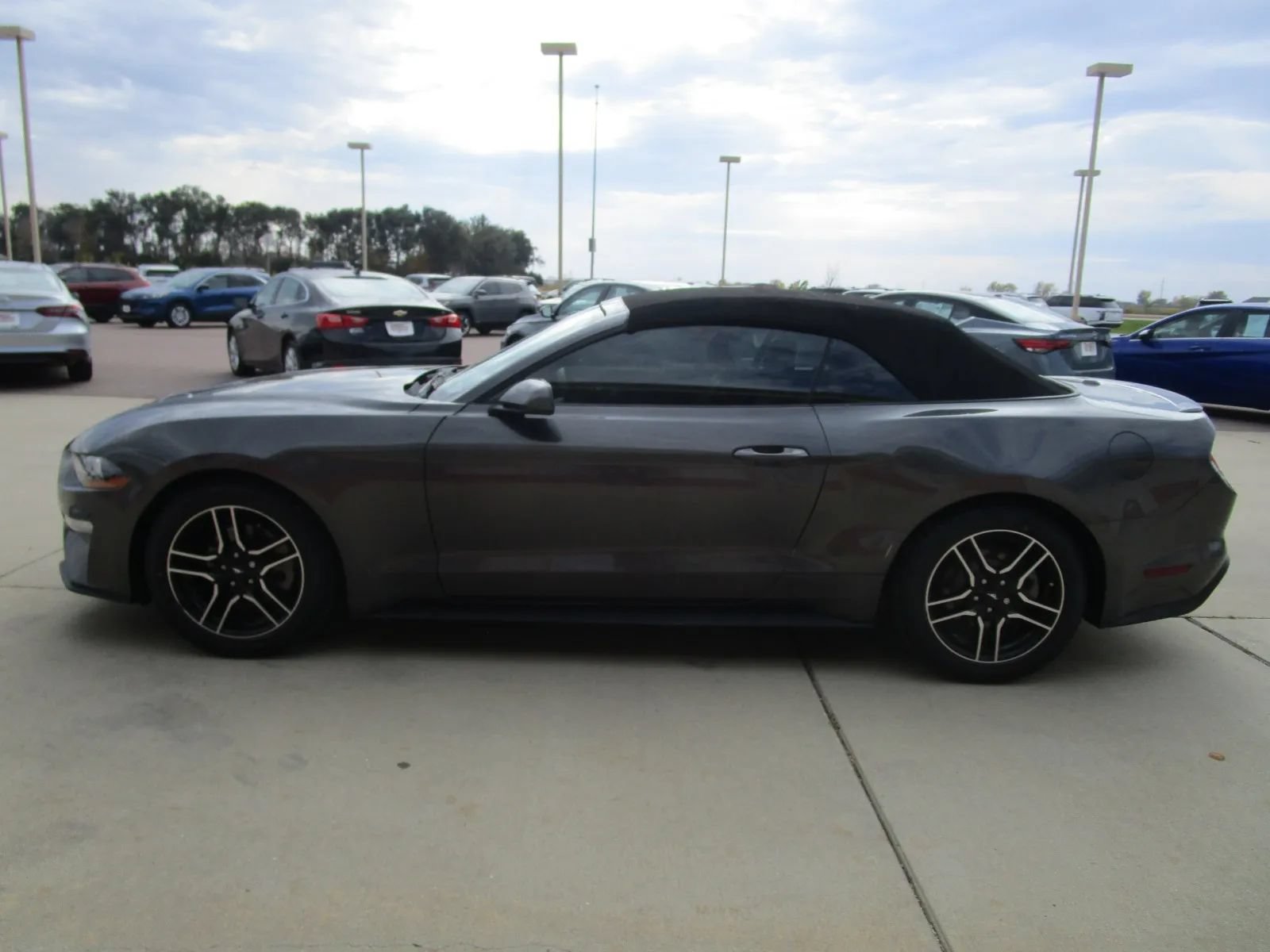 Used 2018 Ford Mustang Premium RWD image 6