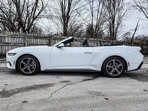 Used 2024 Ford Mustang Premium image 9