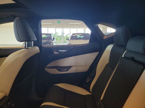 Certified 2024 Lexus NX 250 FWD image 15