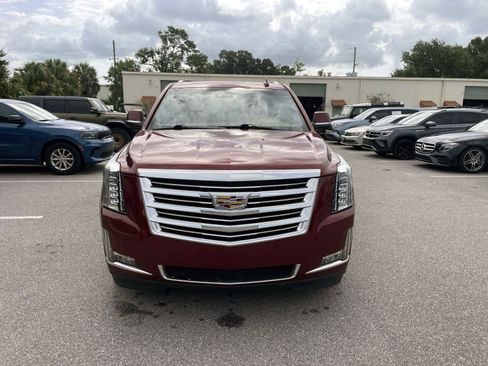 Used 2019 Cadillac Escalade Platinum RWD image 5