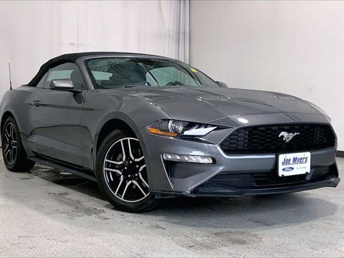 Used 2022 Ford Mustang Premium w/ Equipment Group 201A RWD image 1