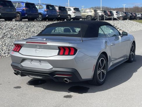 Used 2025 Ford Mustang Premium RWD image 3