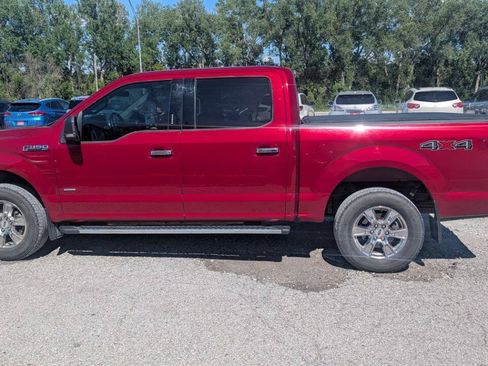 Used 2015 Ford F150 XLT w/ Equipment Group 301A Mid AWD/4WD image 6