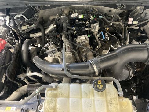 Used 2019 Ford F150 XL w/ Equipment Group 101A Mid AWD/4WD image 28