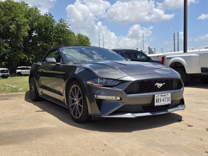 Used 2019 Ford Mustang Premium w/ Equipment Group 201A