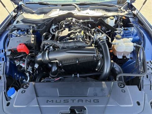 Used 2024 Ford Mustang Premium image 16