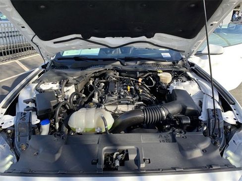 Used 2023 Ford Mustang EcoBoost w/ Equipment Group 101A image 15