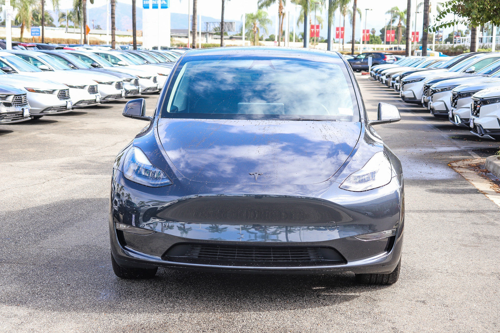 Used 2024 Tesla Model Y Long Range AWD/4WD image 2