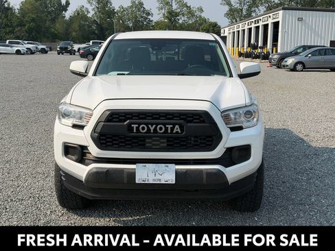 Used 2022 Toyota Tacoma SR w/ SR Convenience Package RWD image 2